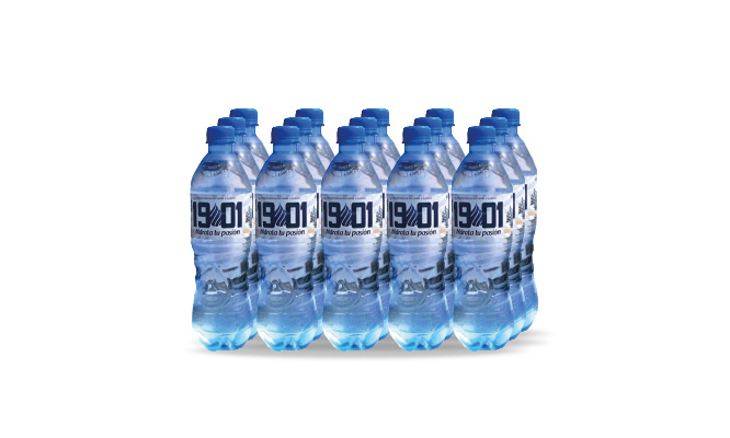 Pack x15 Botellas de Agua de  625 ml