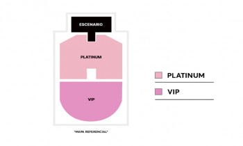 Microblading 9D para cejas