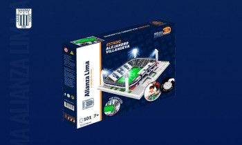 Microblading 9D para cejas