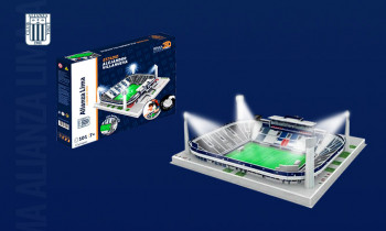 Microblading 9D para cejas