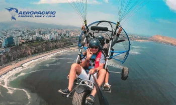 Microblading 9D para cejas