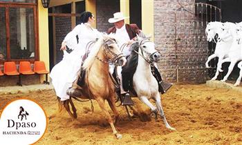 Almuerzo buffet show de Caballo Peruano de Paso show de danzas tipicas y mas