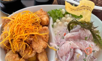 Microblading 9D para cejas