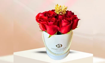 Microblading 9D para cejas