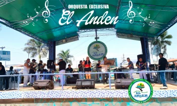 Microblading 9D para cejas