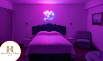 Microblading 9D para cejas