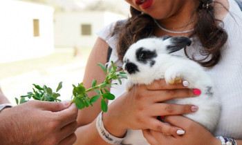 Microblading 9D para cejas