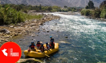 Microblading 9D para cejas