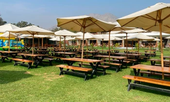 Microblading 9D para cejas