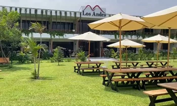 Microblading 9D para cejas