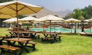 Microblading 9D para cejas