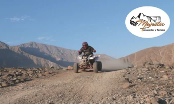 Microblading 9D para cejas