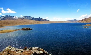 Microblading 9D para cejas