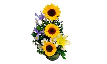 Arreglo de girasoles iris lirios y mas de Personalizalo ¡Hermoso detalle!