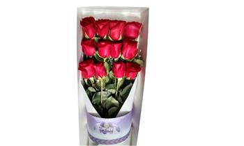 Caja de 12 rosas con follaje peluche de osito y delivery