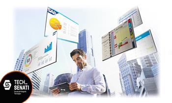 Curso de Integracion de Procesos de Negocio en SAP ERP