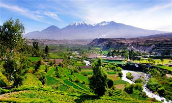 Arequipa City & Campiña tour o Tour Colca desayuno guia transporte y mas