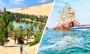 Microblading 9D para cejas