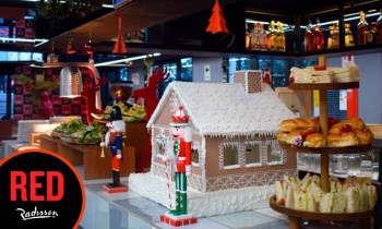 Microblading 9D para cejas