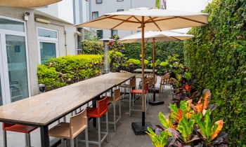 Microblading 9D para cejas