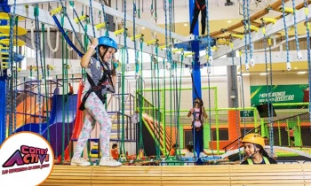 Microblading 9D para cejas