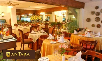 Microblading 9D para cejas