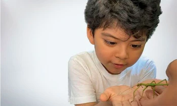 Microblading 9D para cejas