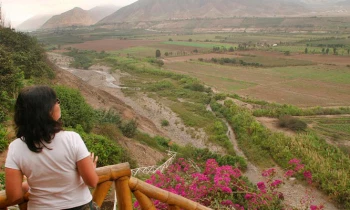 Microblading 9D para cejas