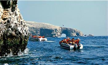 AÑO NUEVO Full Day Paracas - Huacachina – Chincha