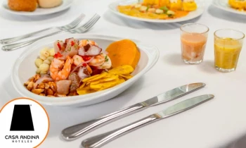 Microblading 9D para cejas