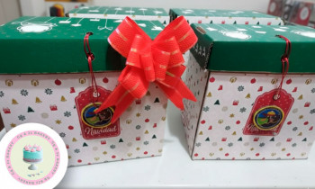 Microblading 9D para cejas