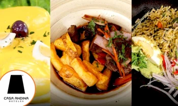 Microblading 9D para cejas