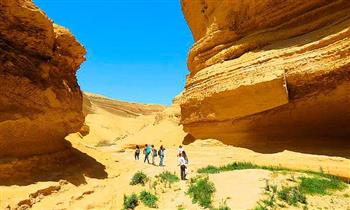 Full Day al Cañon de los perdidos transporte turistico y mas