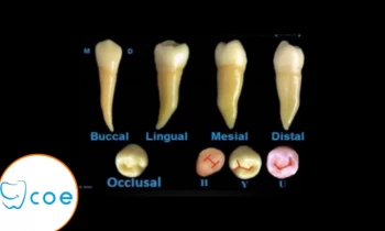 Microblading 9D para cejas