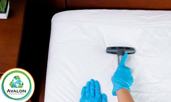 Microblading 9D para cejas