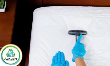 Microblading 9D para cejas