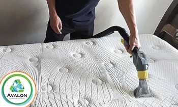 Microblading 9D para cejas