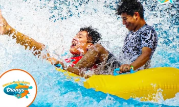 Microblading 9D para cejas