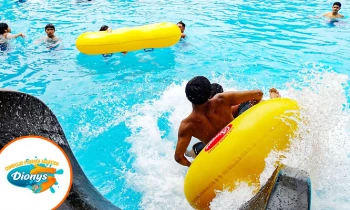 Microblading 9D para cejas