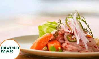 Microblading 9D para cejas