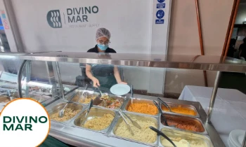 Microblading 9D para cejas