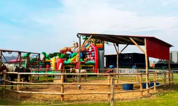 Microblading 9D para cejas