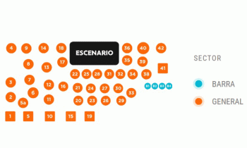 Microblading 9D para cejas
