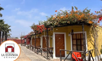 Microblading 9D para cejas