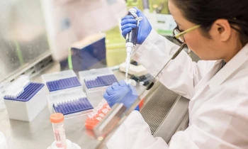 Microblading 9D para cejas