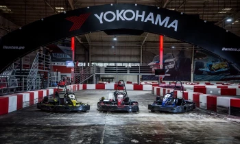 Microblading 9D para cejas