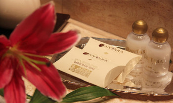 Microblading 9D para cejas