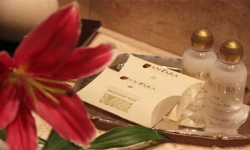 Microblading 9D para cejas