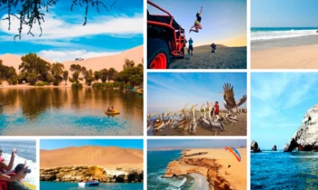 Microblading 9D para cejas