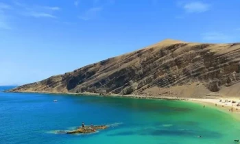 Microblading 9D para cejas